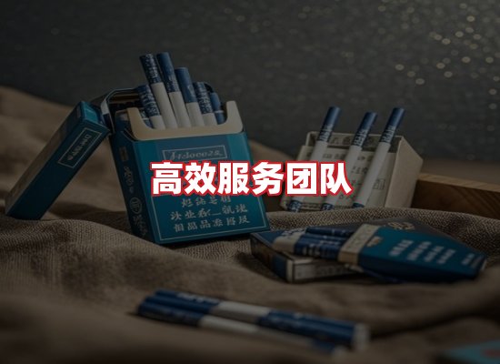 专业团队